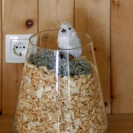 1111 With Sauna & Hot Tub