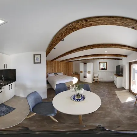 1111 With Sauna & Hot Tub Dravograd