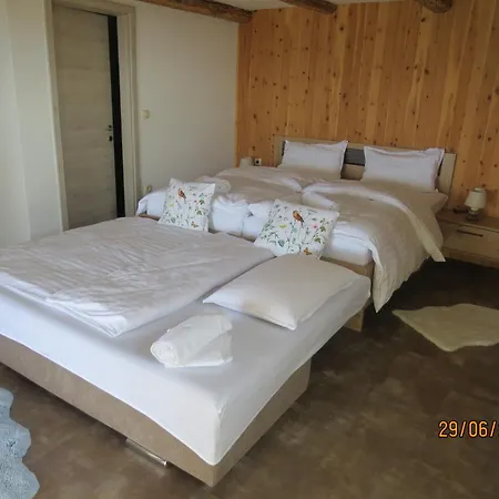 1111 With Sauna & Hot Tub Dravograd