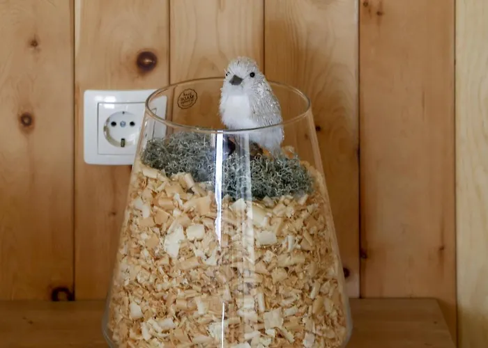 1111 With Sauna & Hot Tub