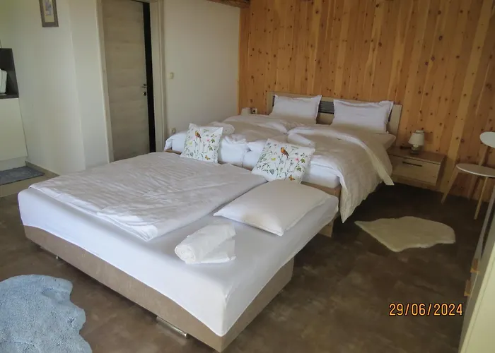 1111 With Sauna & Hot Tub Dravograd